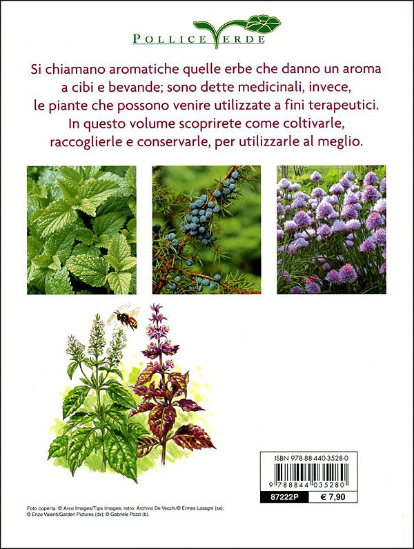 Piante aromatiche e medicinali in giardino e in vaso
