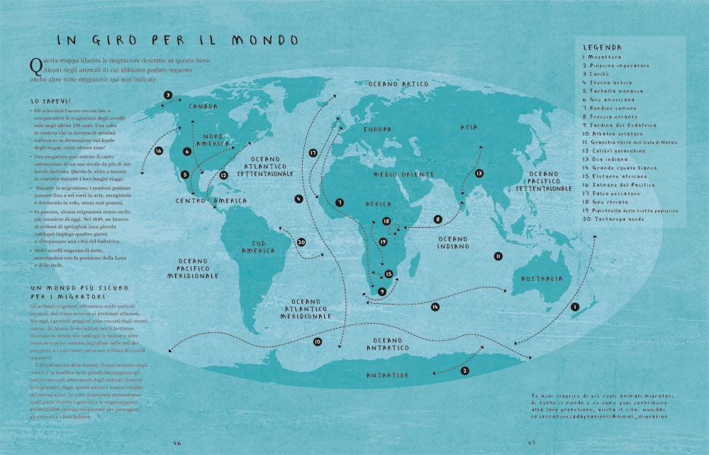 Migrazioni::Gli incredibili viaggi degli animali