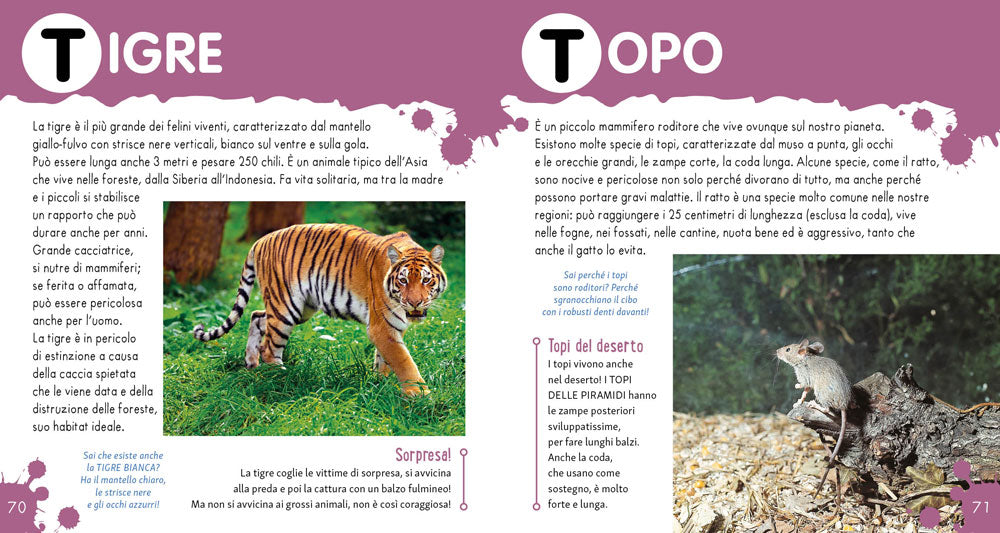 Il mio primo dizionario degli animali