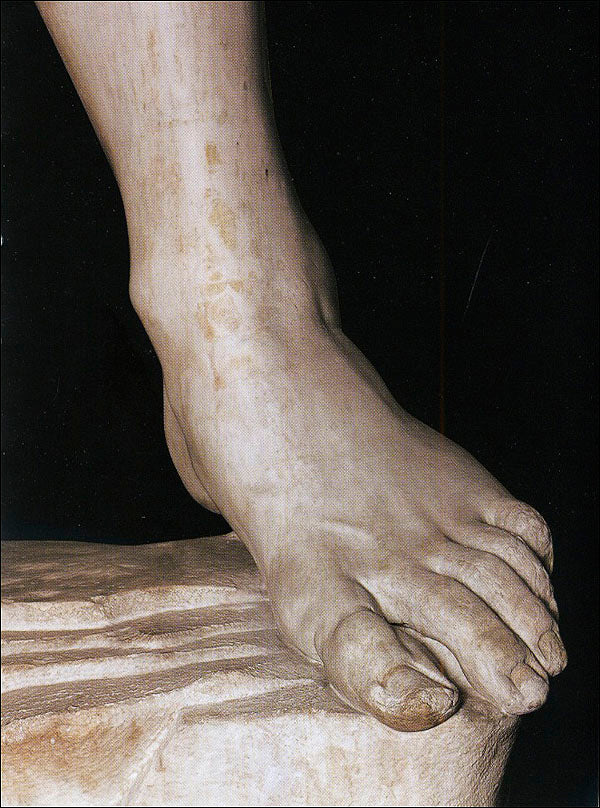 Michelangelo. David (in inglese)