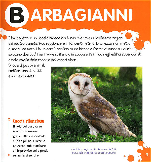 Il mio primo dizionario degli Animali::Con tanti stickers