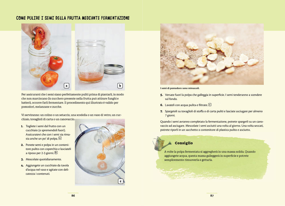 Il mio orto zero waste::Come ridare vita a cime, gambi, semi e altro ancora.