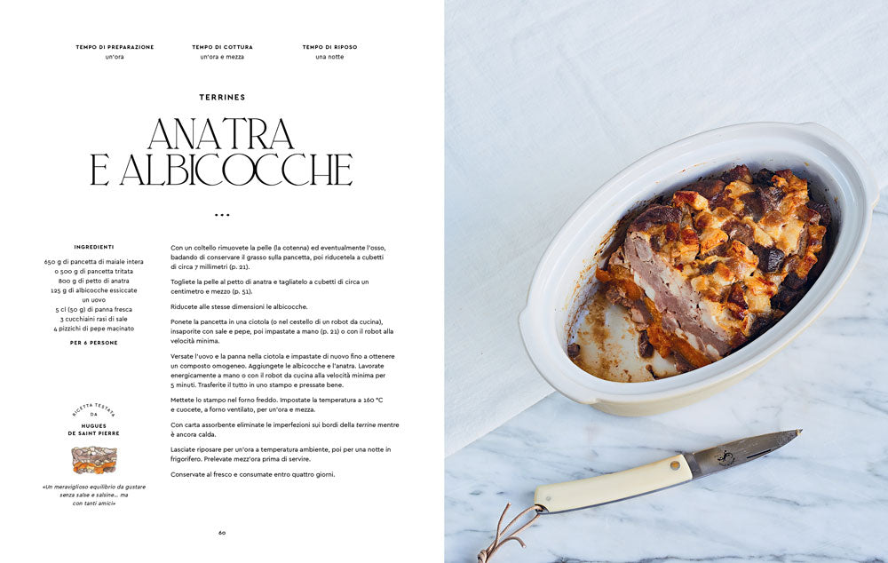 Terrines, rillettes, salsicce e pasticci::80 ricette casalinghe della grande tradizione francese