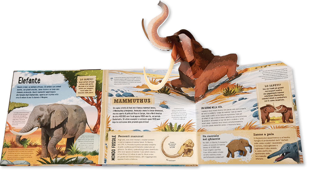 Bestie preistoriche pop-up::Scopri 7 incredibili animali del passato in versione pop-up!