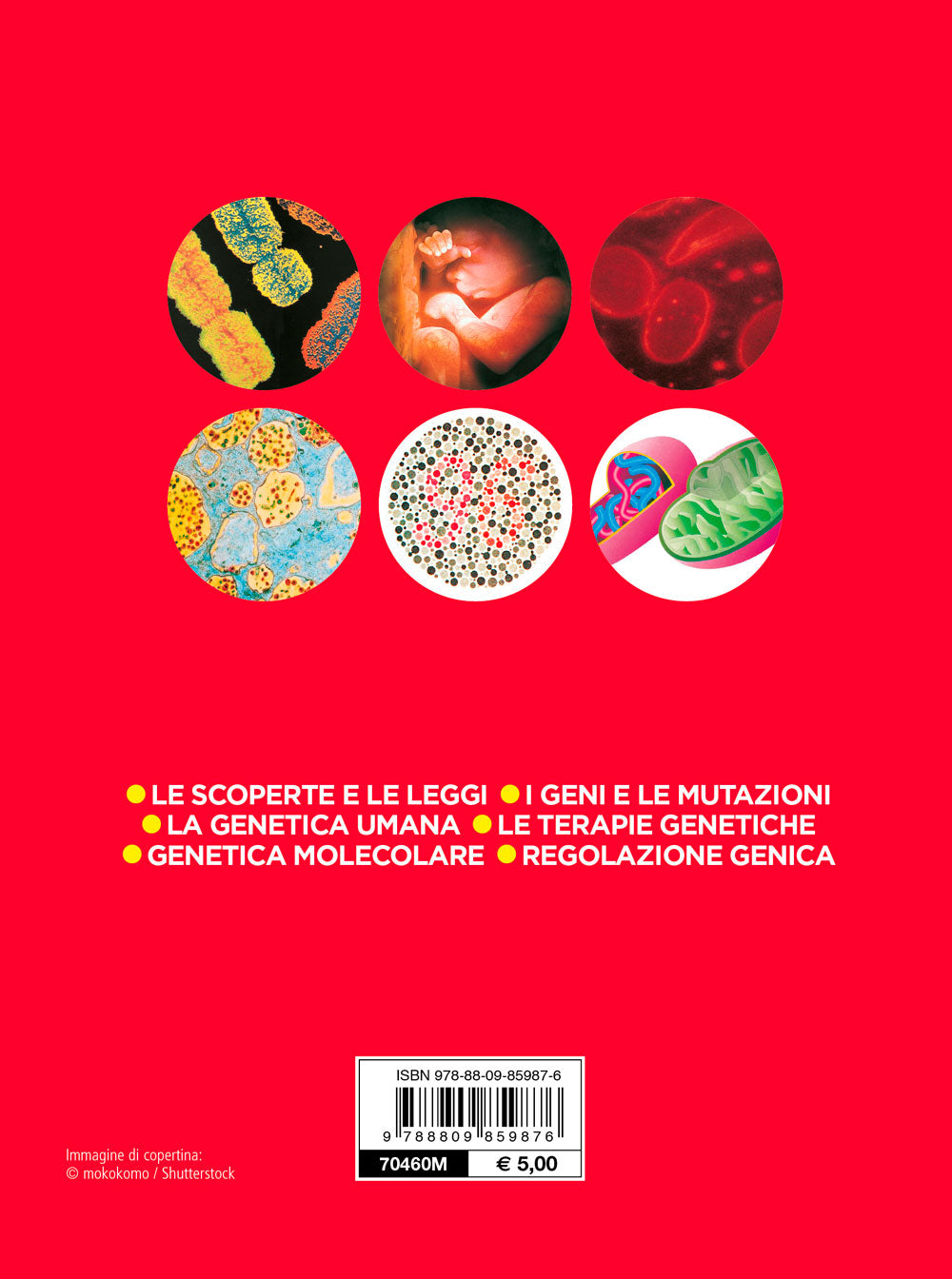 Genetica::Le scoperte e le leggi - I geni e le mutazioni - La genetica umana - Le terapie genetiche - Genetica molecolare - Regolazione genica