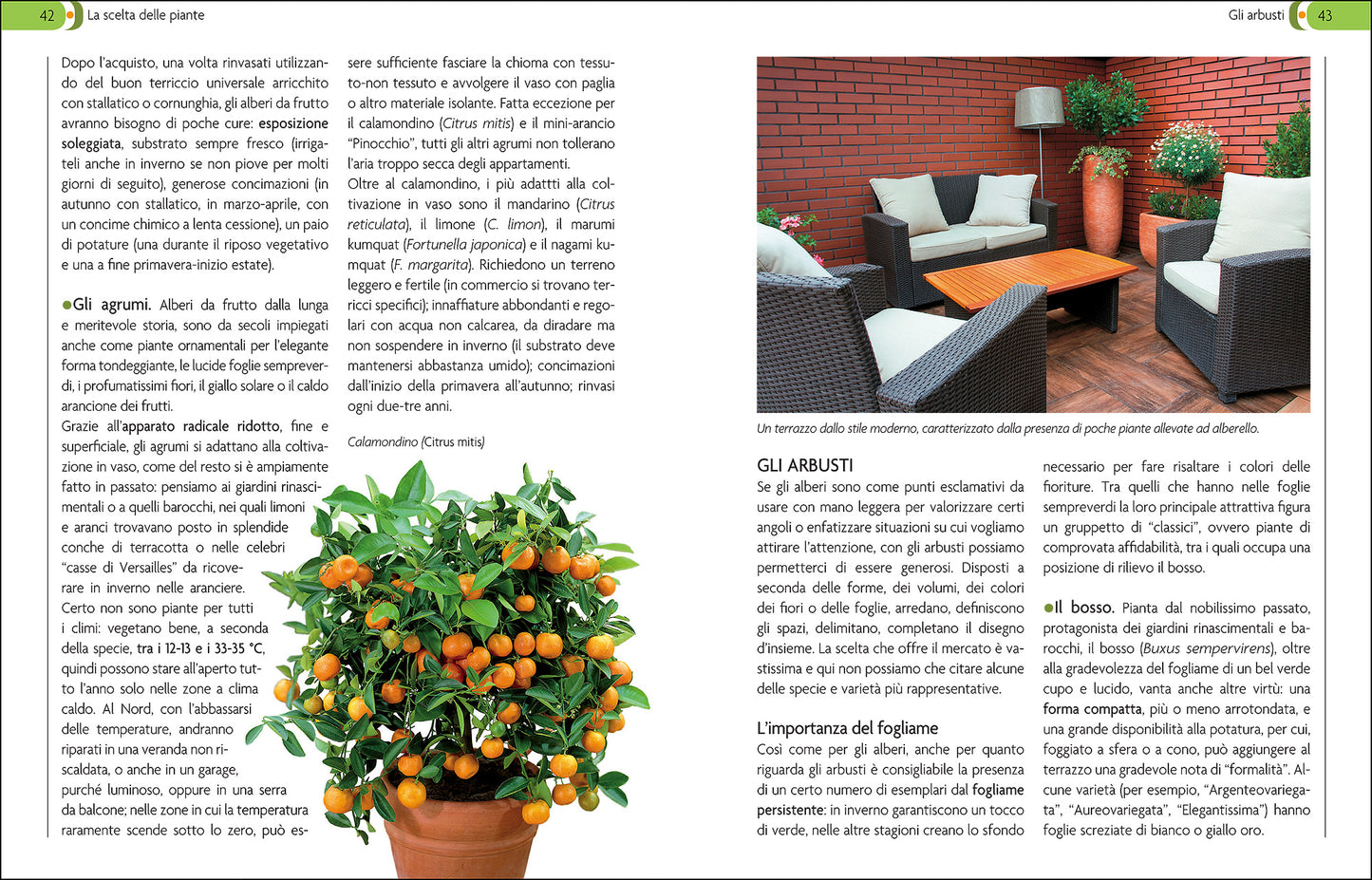 Giardino in vaso ::Sul balcone e terrazzo