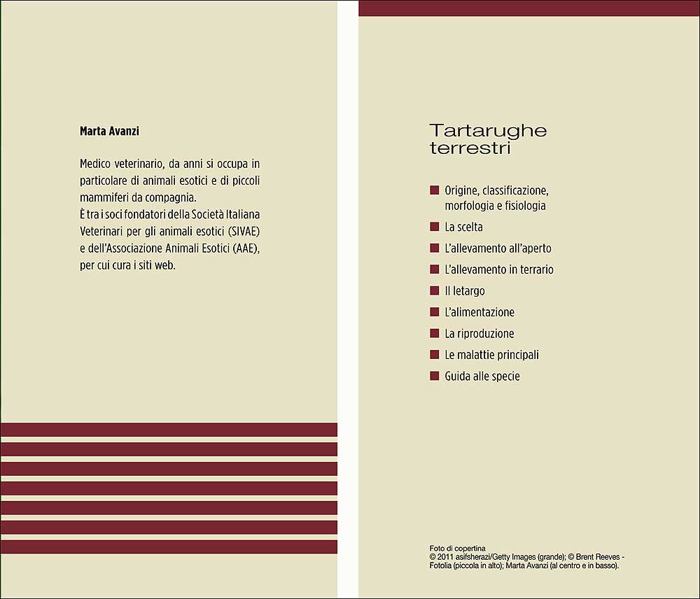 Tartarughe terrestri::Morfologia - Specie - Allevamento - Alimentazione - Riproduzione - Igiene - Salute