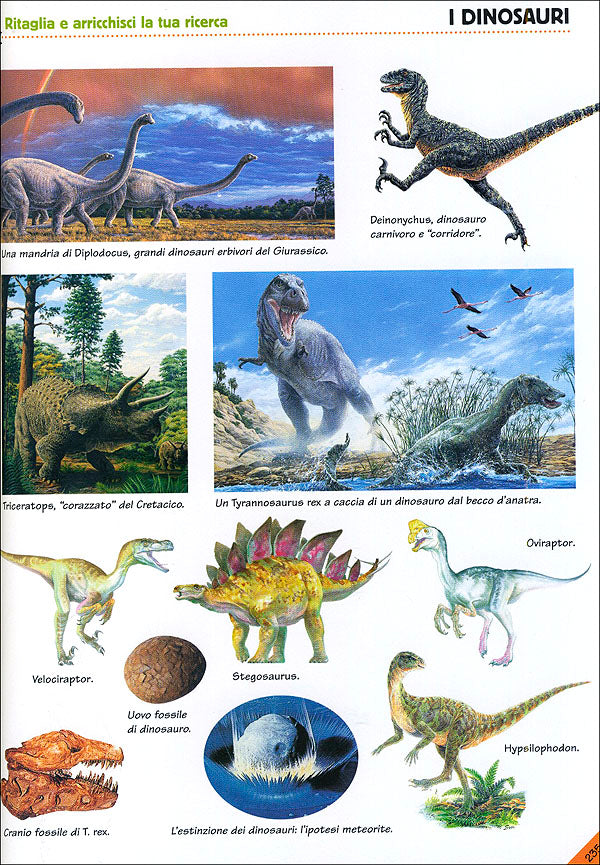 Preistoria. L'evoluzione della vita sulla Terra::Con tante immagini da ritagliare per le tue ricerche