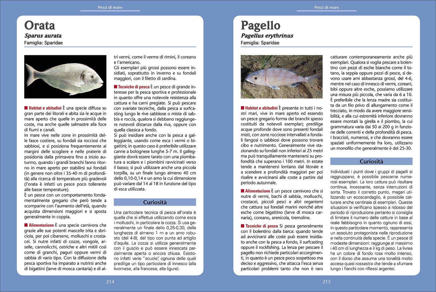 Pesca in mare e acqua dolce::Manuale completo