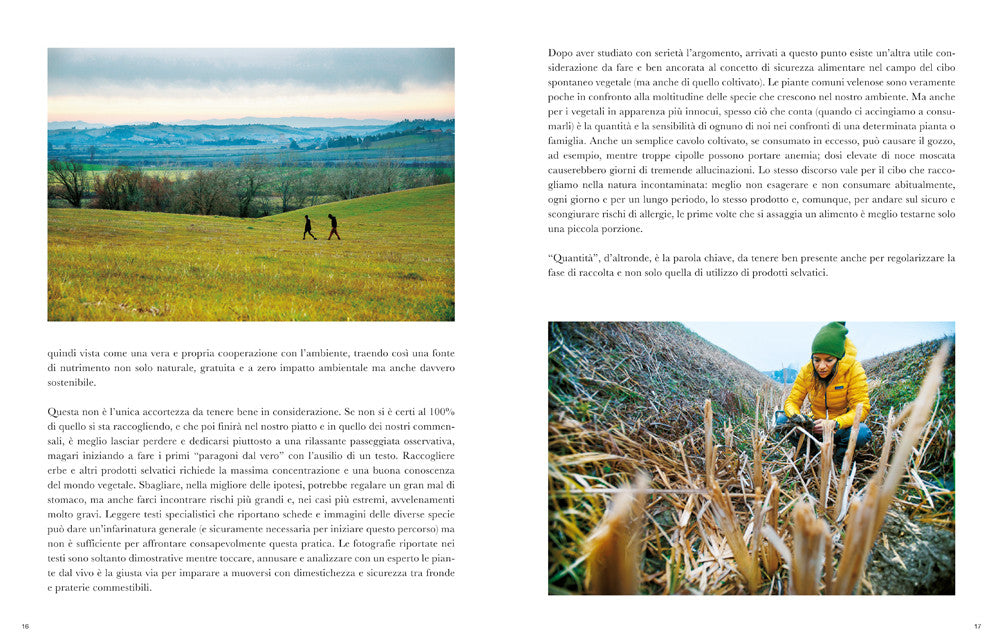 Imparare l'arte del foraging::Conoscere, raccogliere, consumare il cibo selvatico