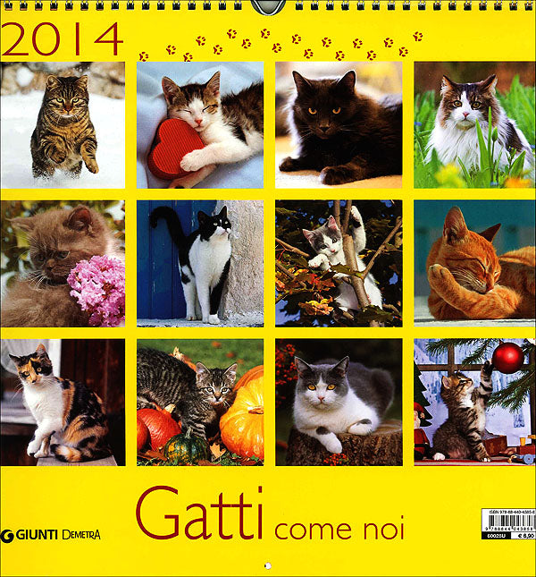 Gatti come noi - Calendario 2014