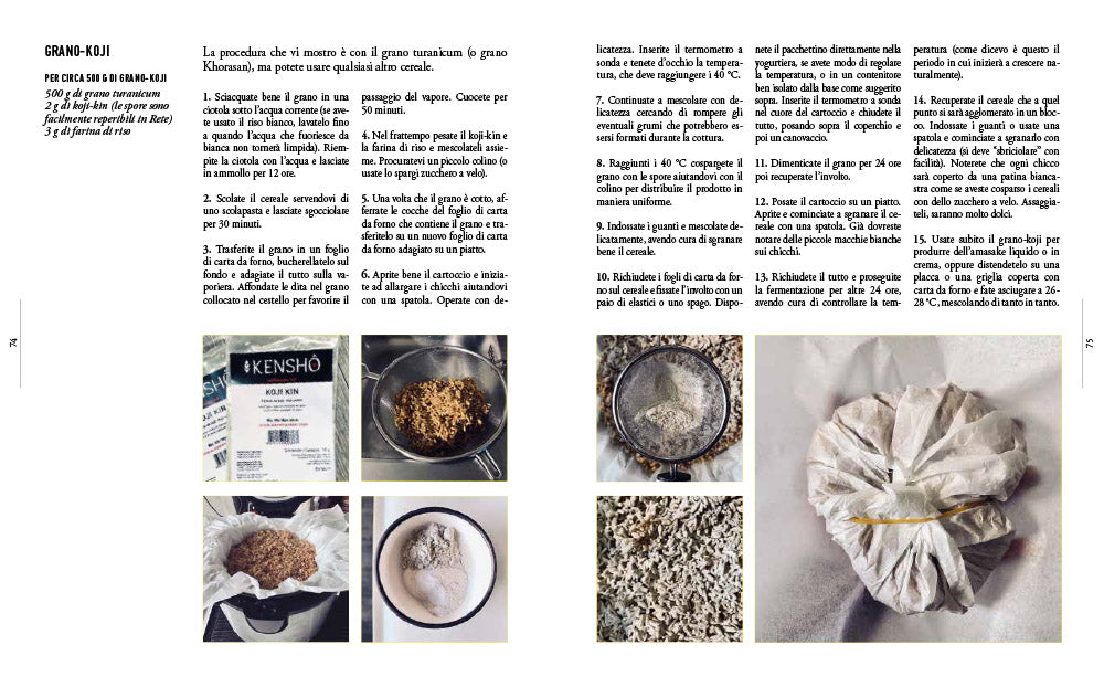 Aceto & aceti::Tutto il fascino delle fermentazioni e come realizzarle in casa