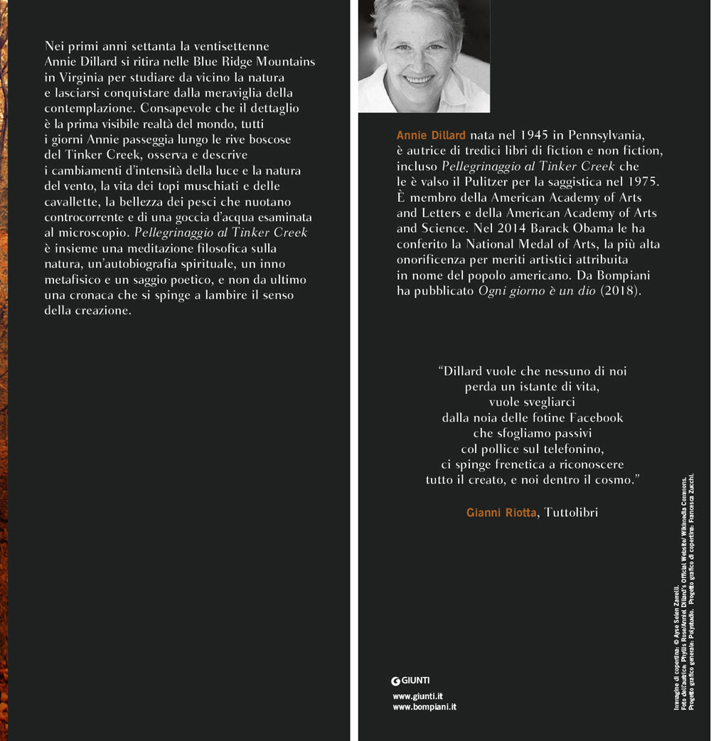 Pellegrinaggio al Tinker Creek