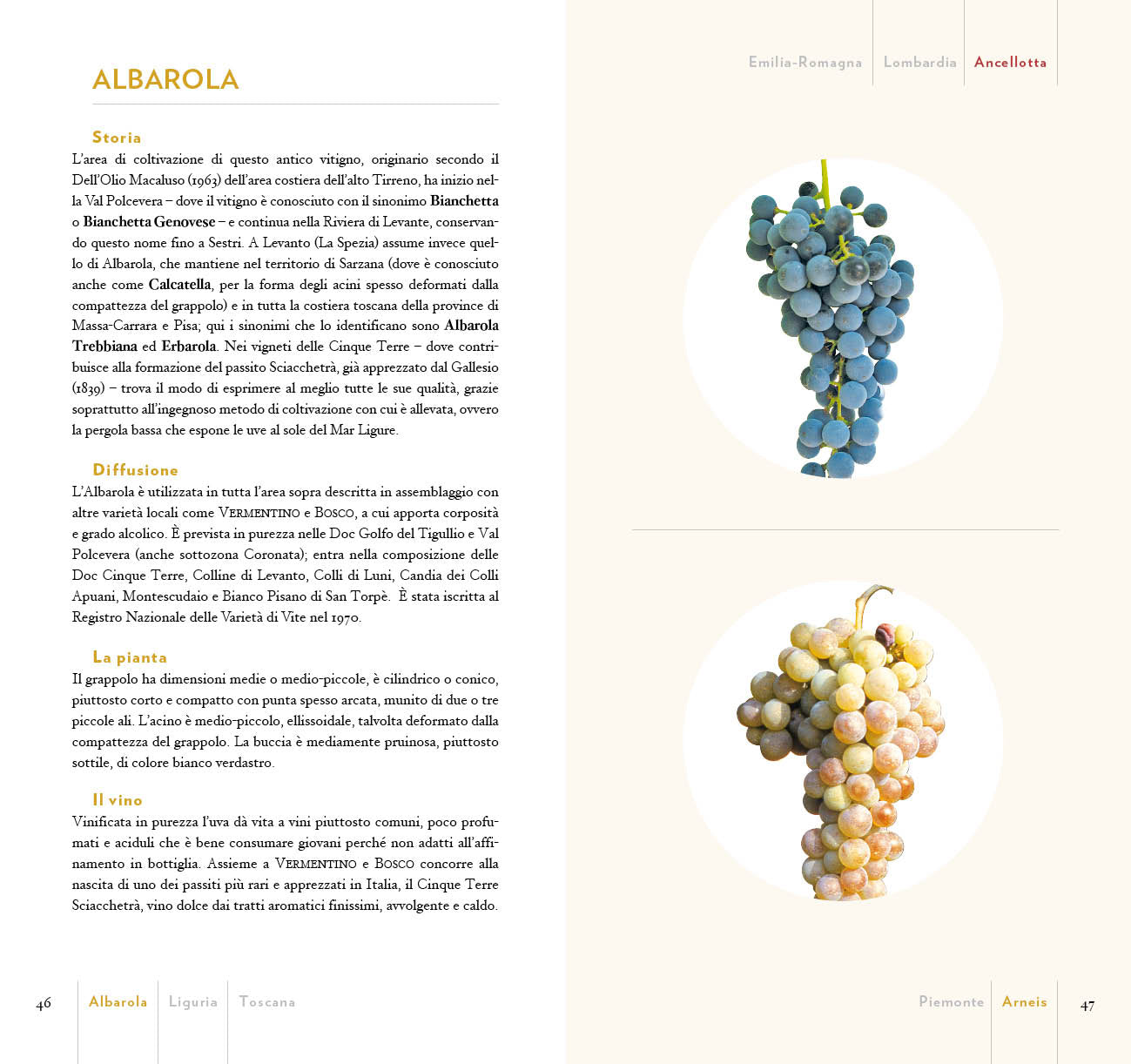 GUIDA AI VITIGNI D'ITALIA::STORIA E CARATTERISTICHE DI 750 VARIETA' AUTOCTONE