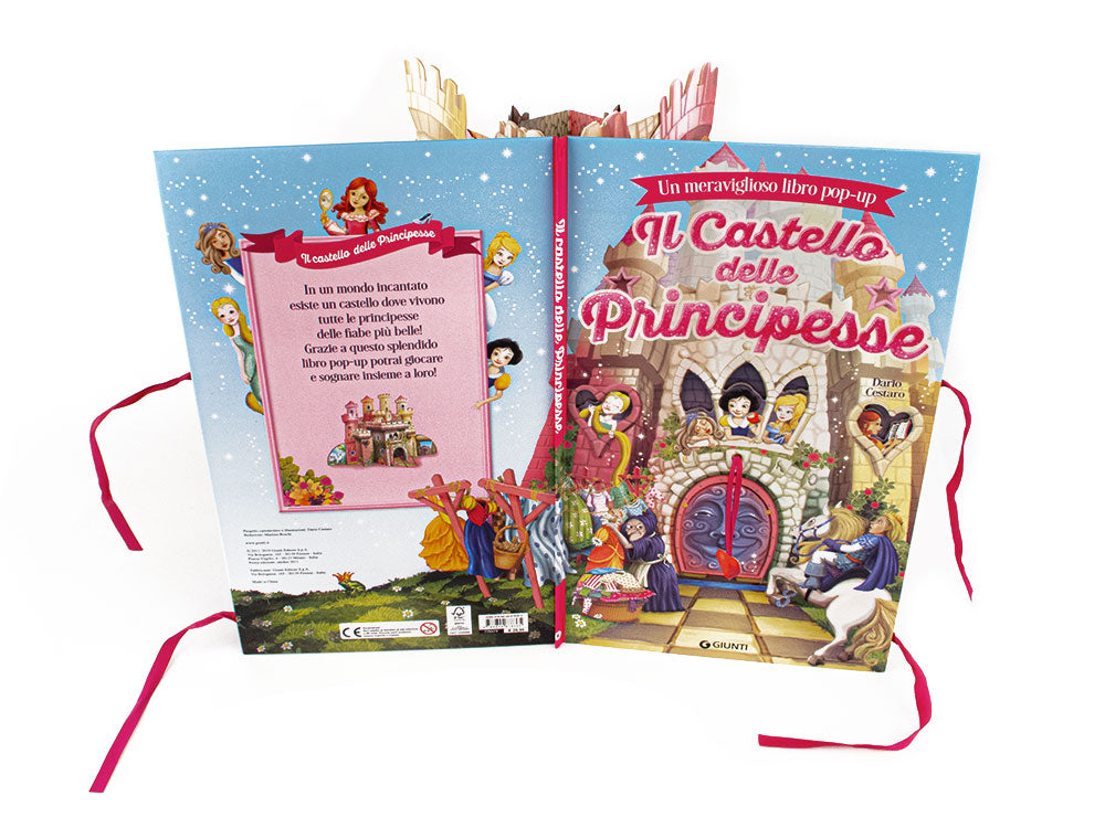 Il castello delle principesse