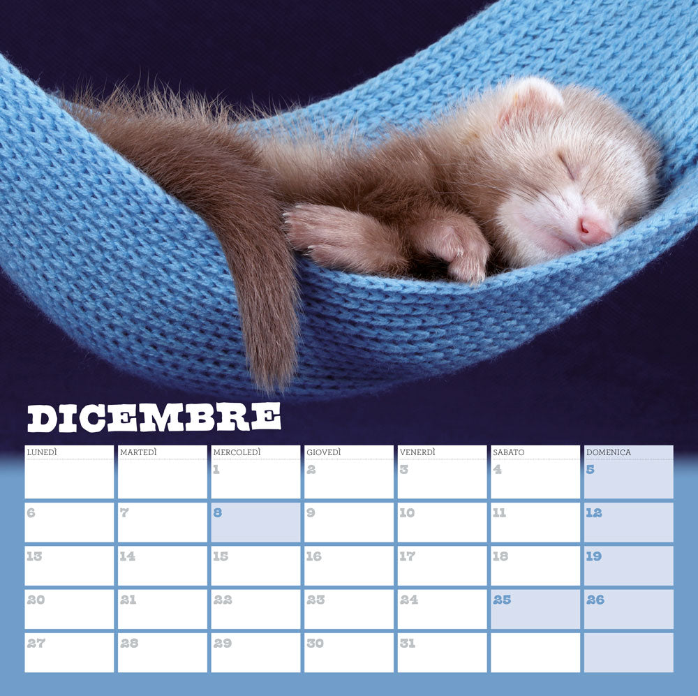 Calendario Happy pets 2021, da parete, 30x30 cm