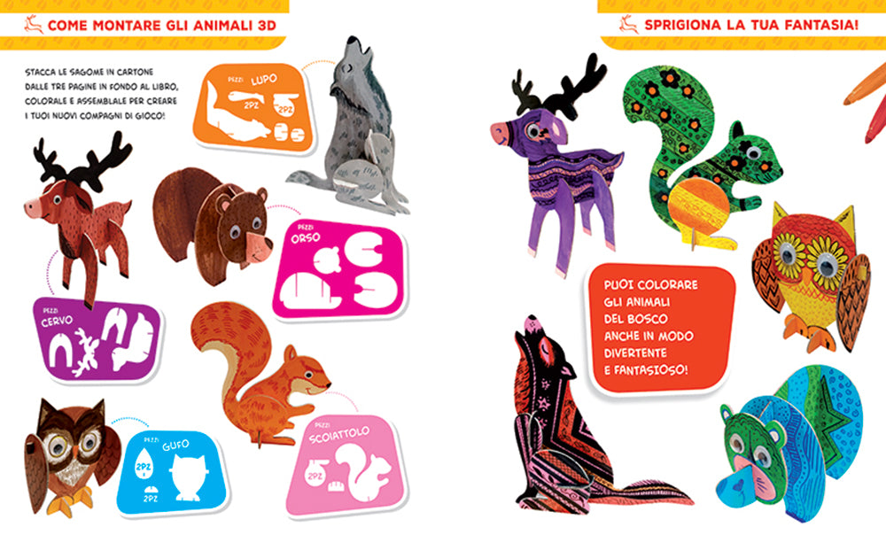Colorare in 3D Bosco::Tante pagine da colorare - 5 soggetti da costruire
