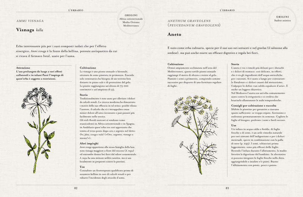 Curarsi con le piante::Giuda ai rimendi fitoterapici del più antico orto botanico di Londra