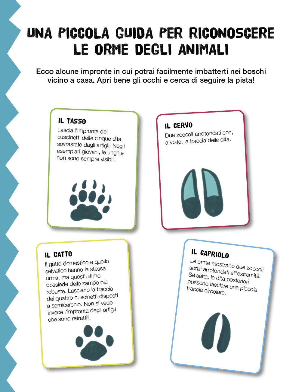Leggiamo i segni della natura::Manuale del giovane esploratore