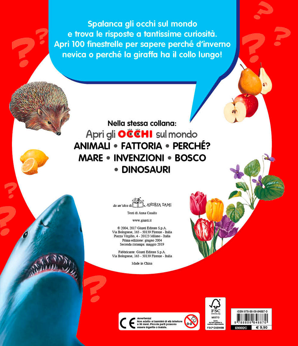 Perché?::100 finestrelle