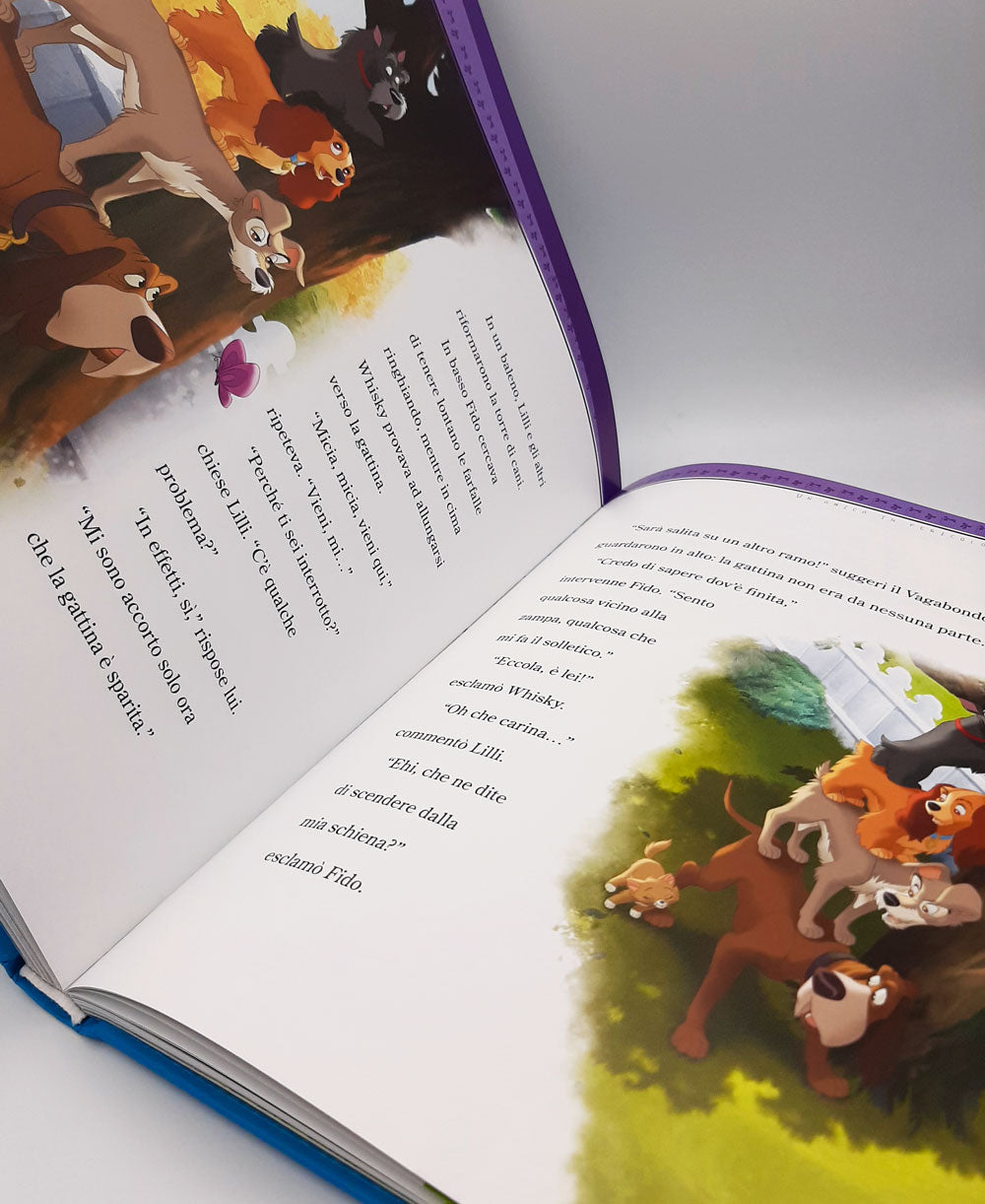 Fiabe Collection. Storie di zampe, pinne e piume