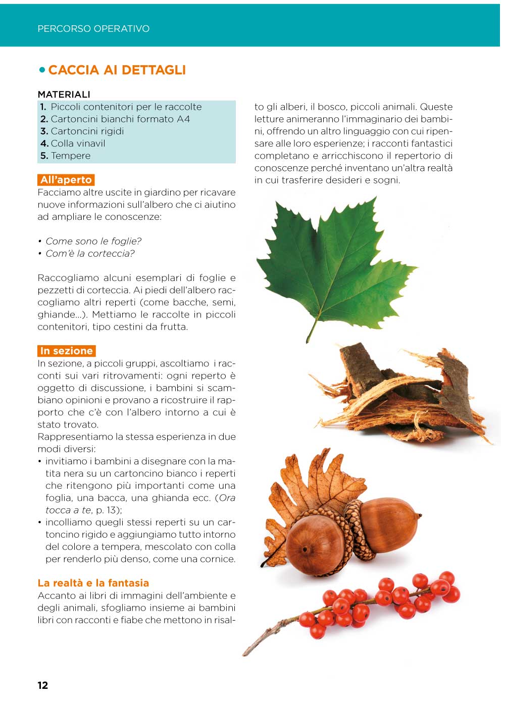 Amico albero::Educazione ambientale ed espressiva nella scuola dell'infanzia