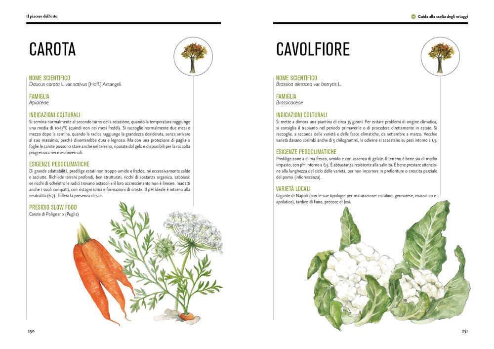 Il piacere dell'orto::Guida pratica alla coltivazione slow.