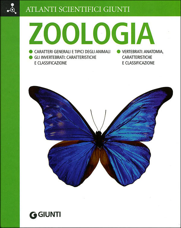 Zoologia::Caratteri generali e tipici degli animali. Gli invertebrati:  caratteristiche e classificazione. Vertebrati: anatomia, caratteristiche e