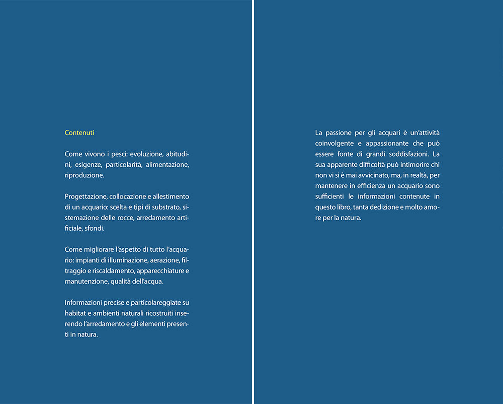 L'acquario spettacolare ::tutto il fascino del mondo sommerso