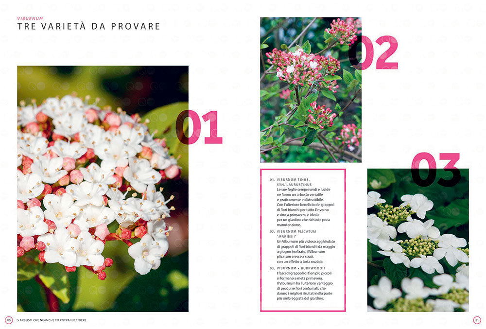 50 piante che neanche tu potrai uccidere::Il manuale perfetto per tutti quelli che non hanno il pollice verde