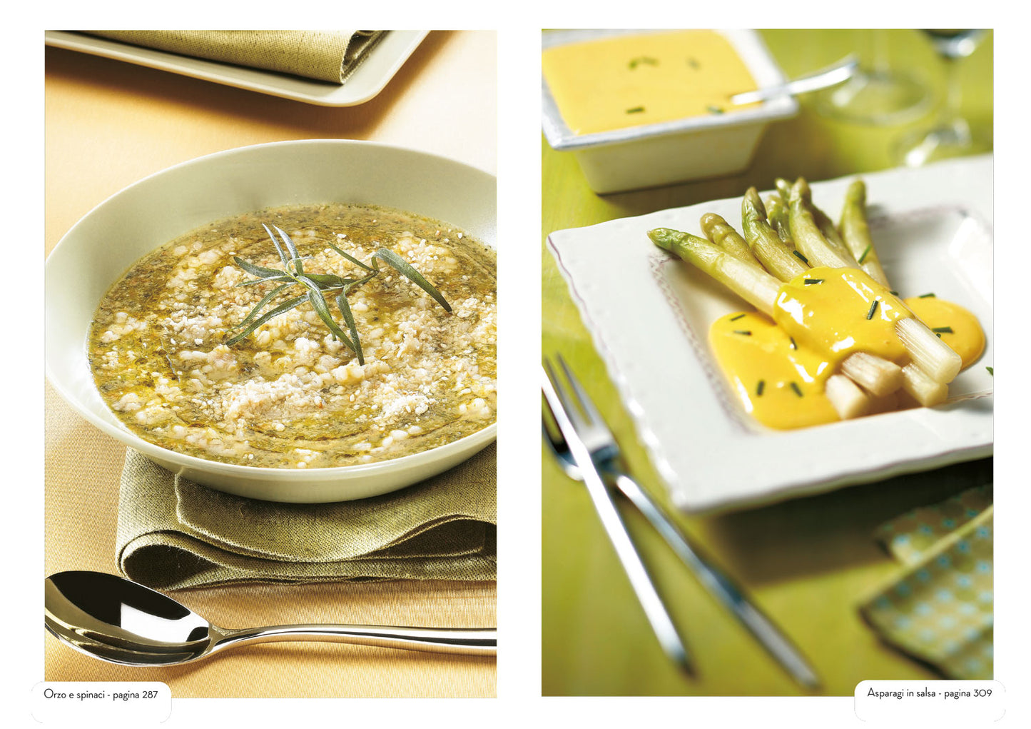 Il cucchiaio verde::La bibbia della cucina vegetariana