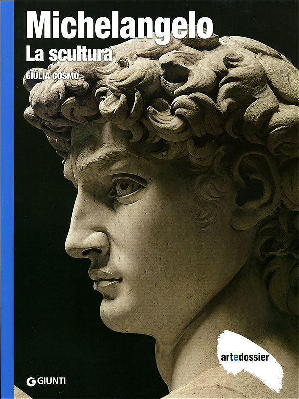 Michelangelo. La scultura