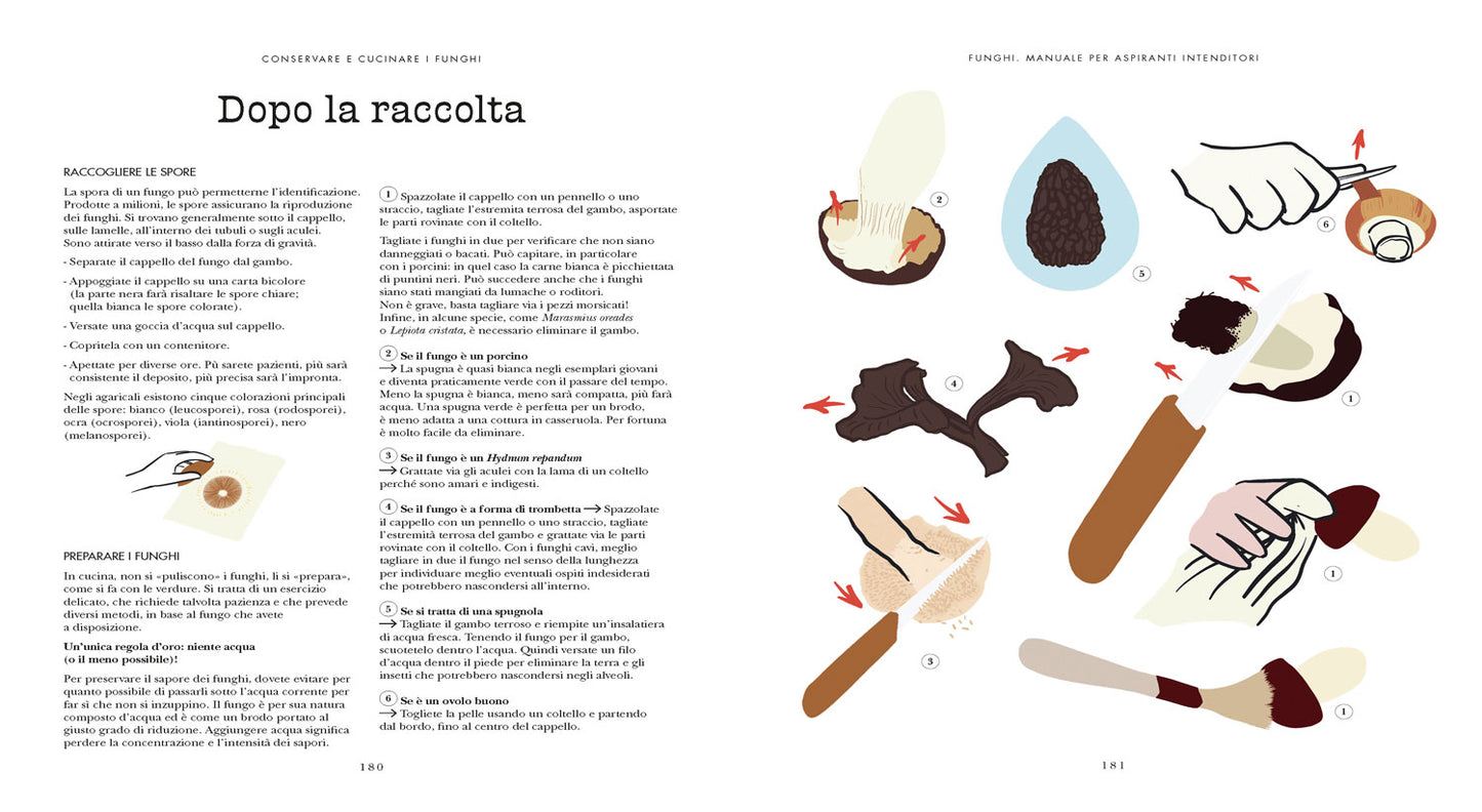 Funghi. Manuale per aspiranti intenditori