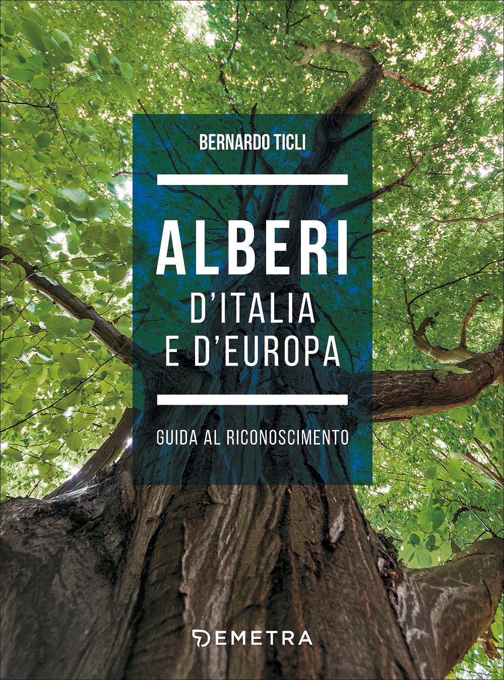 Alberi d'Italia e d'Europa::Guida al riconoscimento