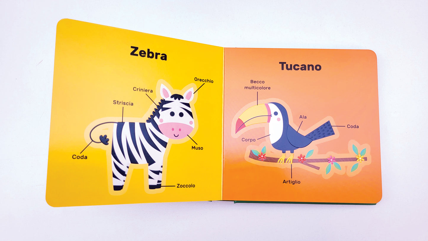 Animali::I miei primi 50 animali tattili