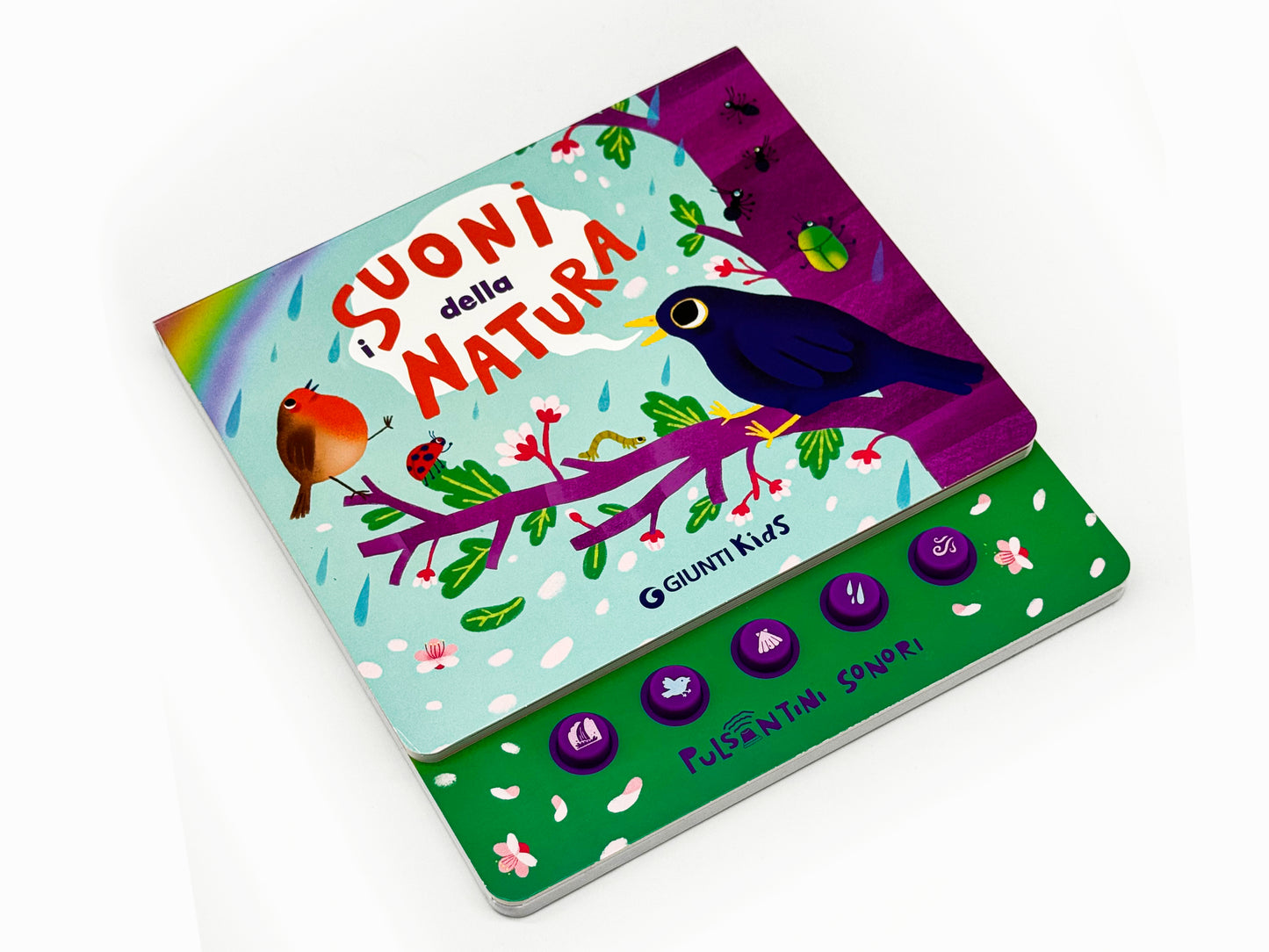 I suoni della natura