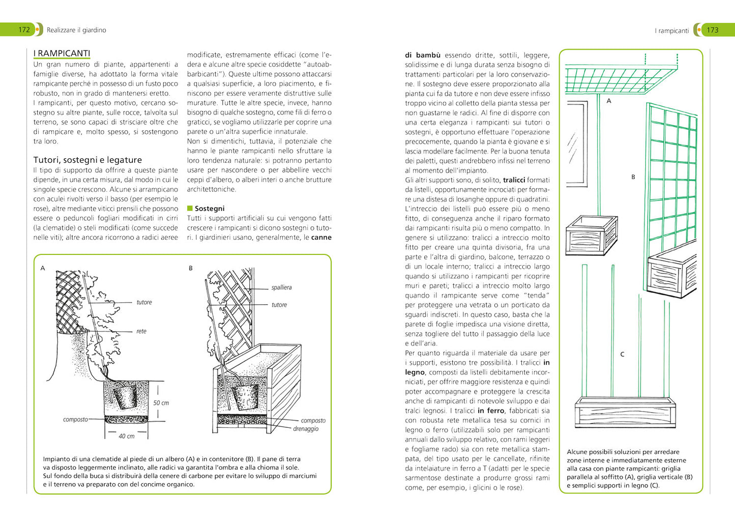 Orto, frutteto, giardino::Il manuale completo