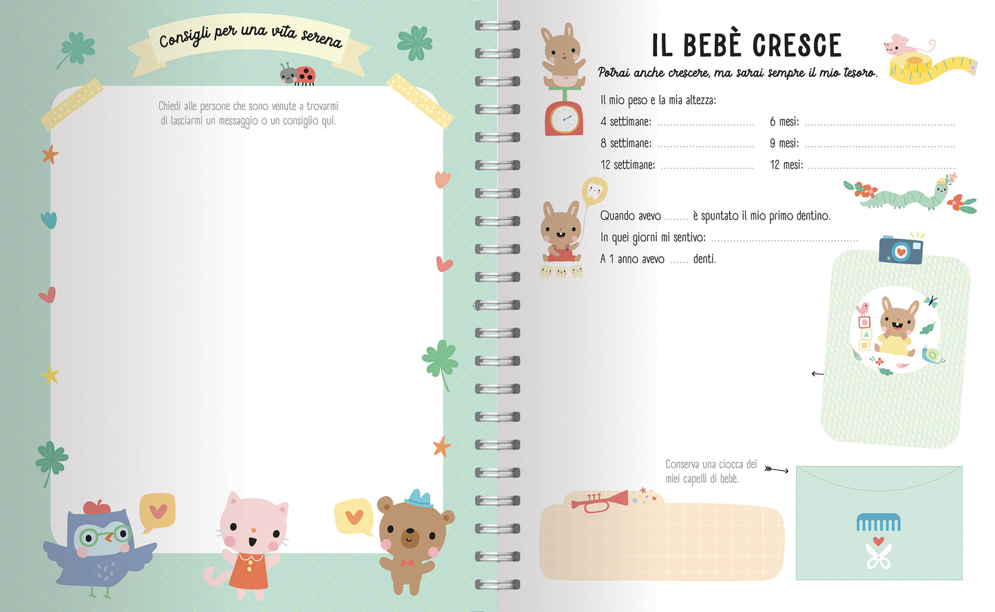 L'album del mio bebè
