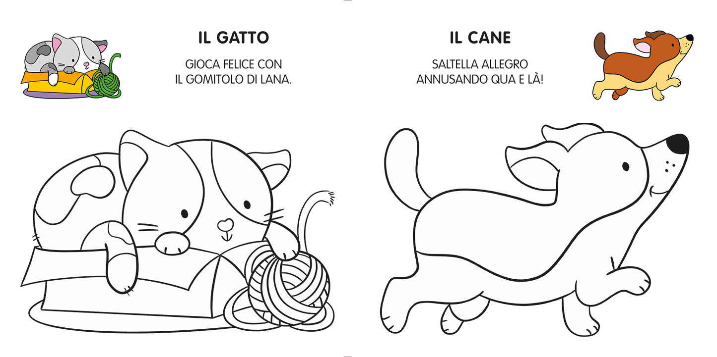 I miei primi animali da colorare