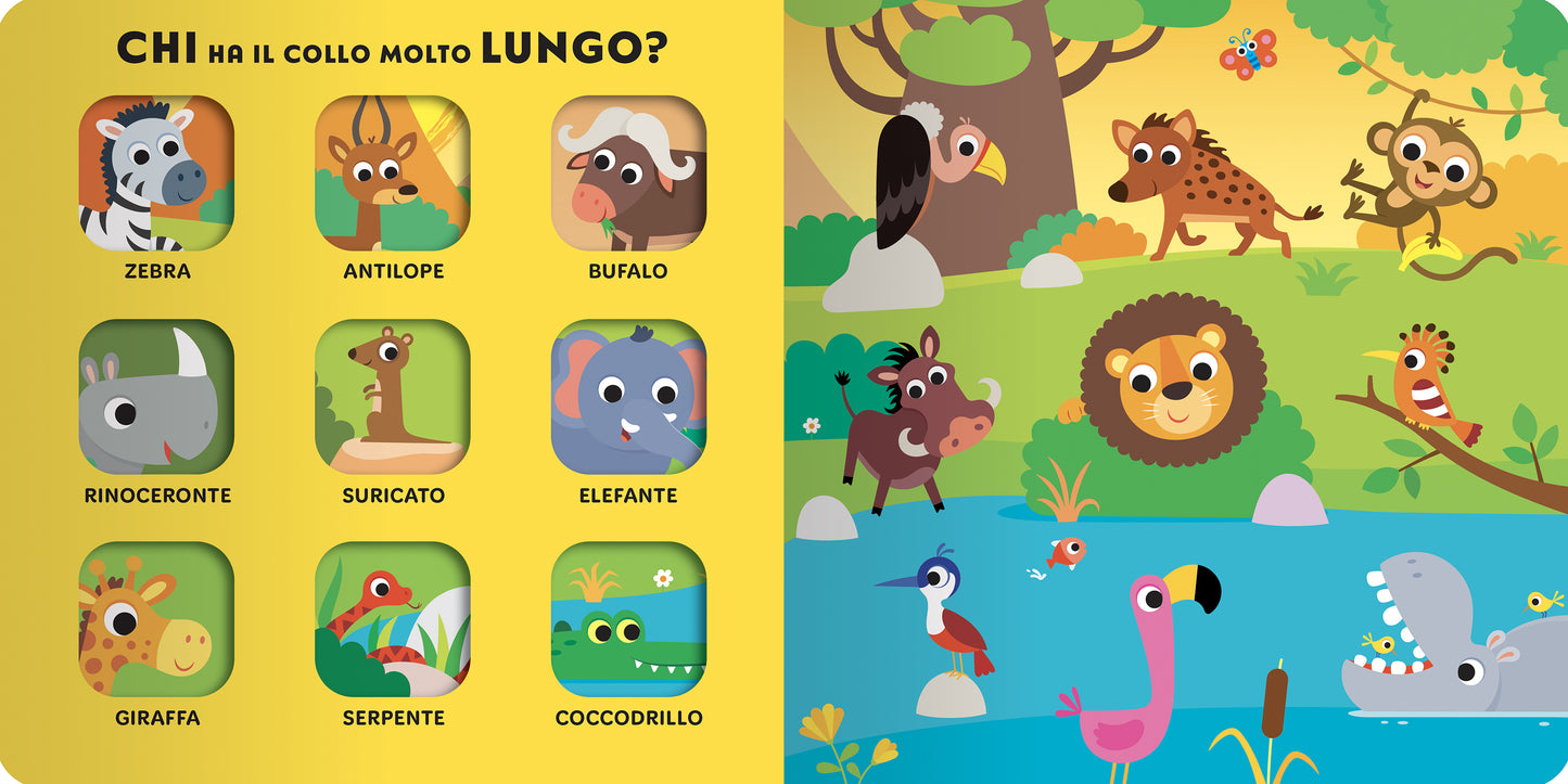 Tanti Animali da scoprire