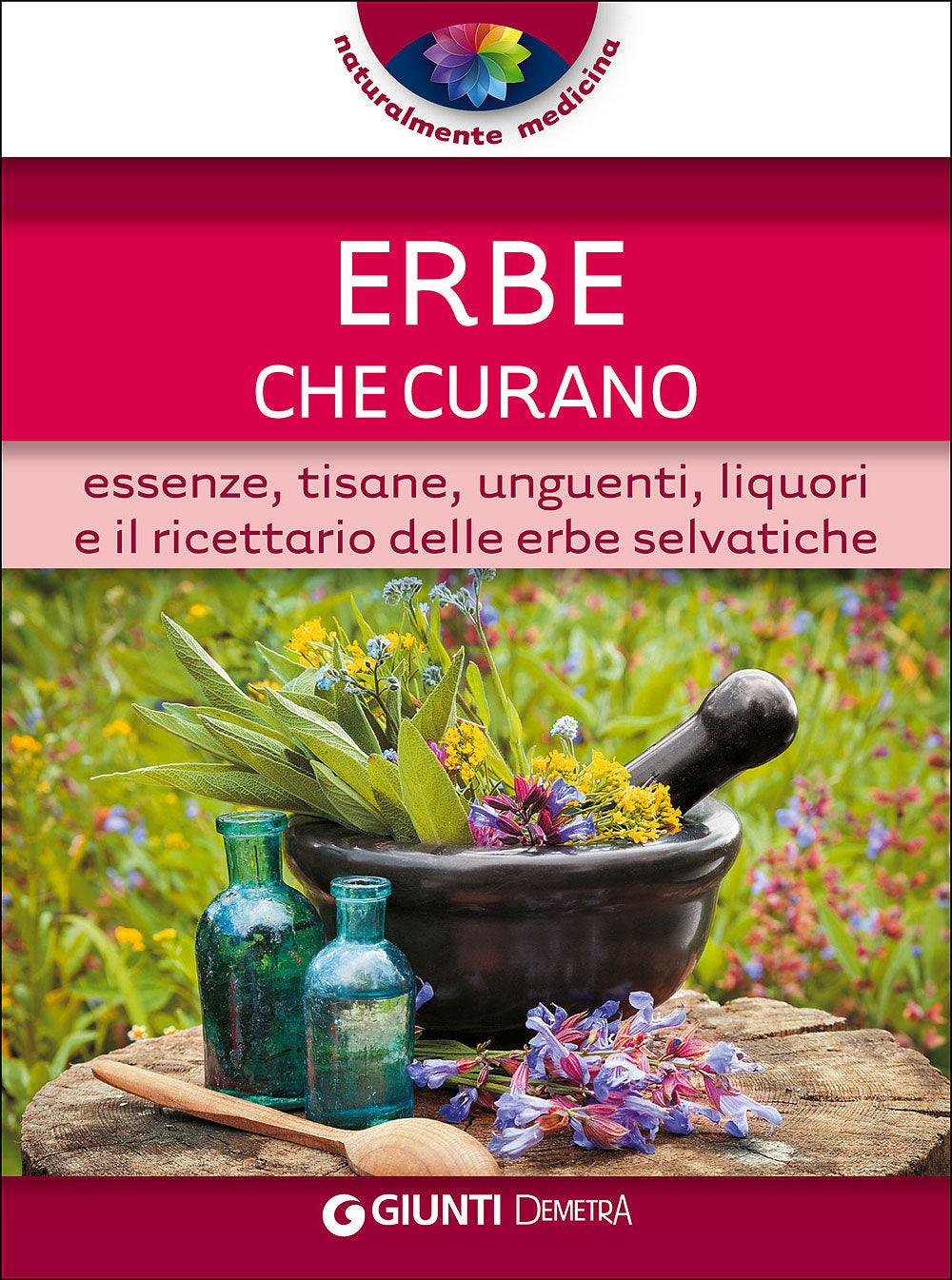Erbe che curano::Essenze, tisane, unguenti, liquori e il ricettario delle erbe selvatiche