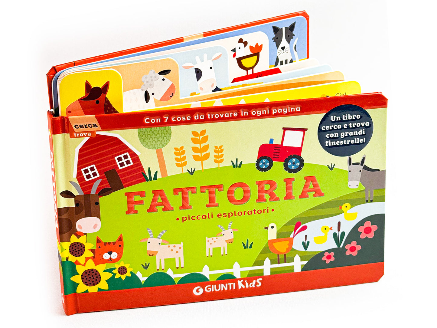 Fattoria::Piccoli esploratori