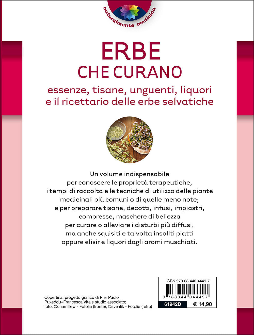 Erbe che curano::Essenze, tisane, unguenti, liquori e il ricettario delle erbe selvatiche