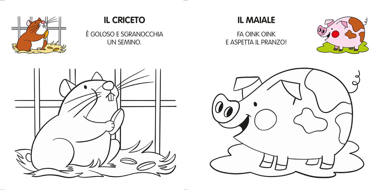 I miei primi animali da colorare