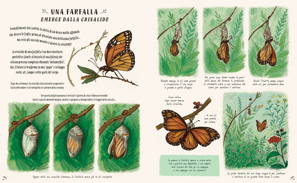 Piano piano... osservare la natura per vivere senza fretta::50 Storie