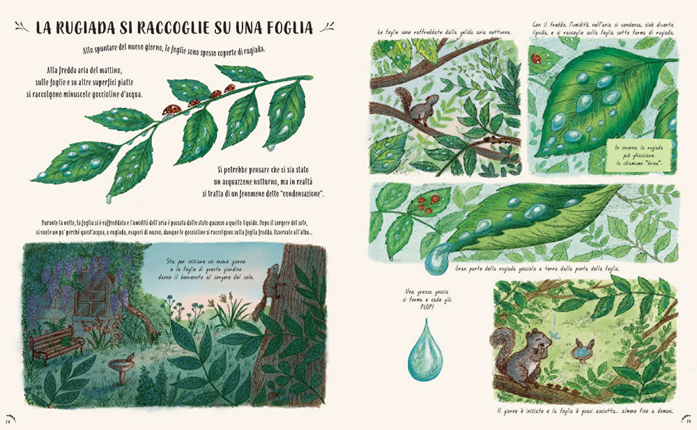 Piano piano... osservare la natura per vivere senza fretta::50 Storie