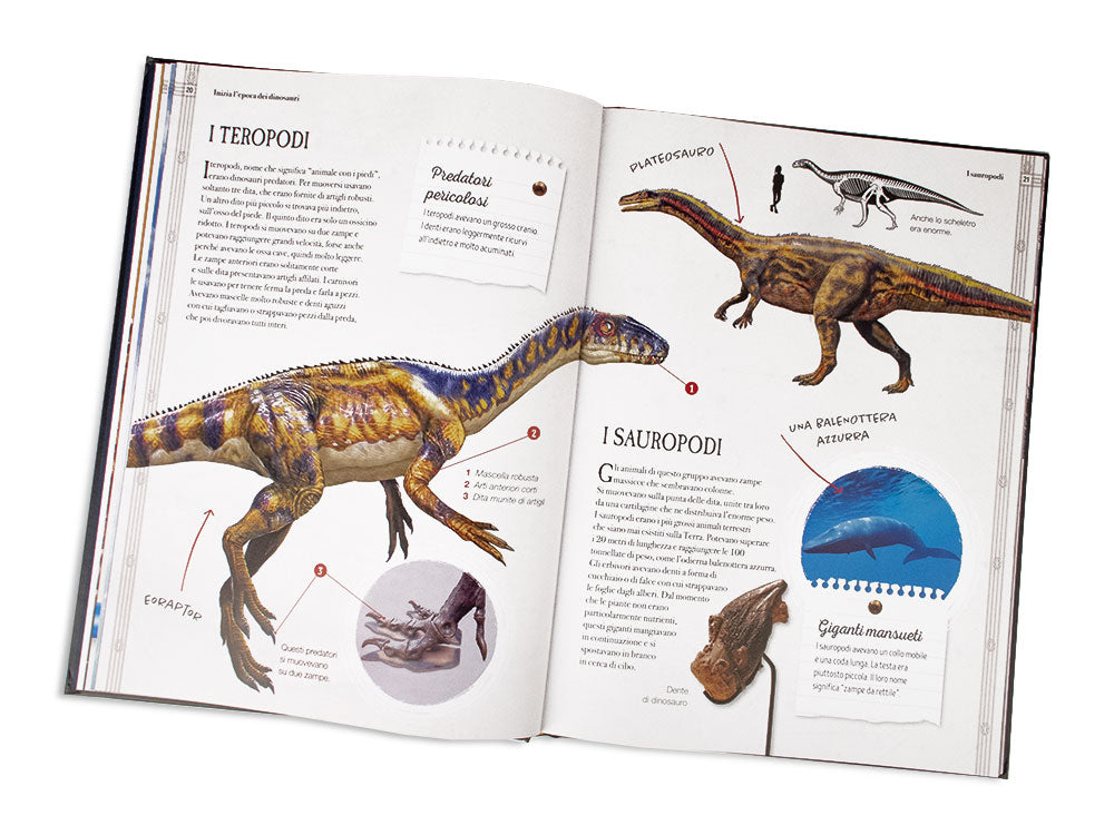 Il mondo segreto dei dinosauri ::Sulle tracce dei giganti estinti