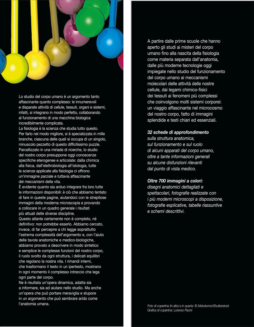 Atlante di Fisiologia umana::Il nostro corpo in azione dalle molecole agli apparati più complessi