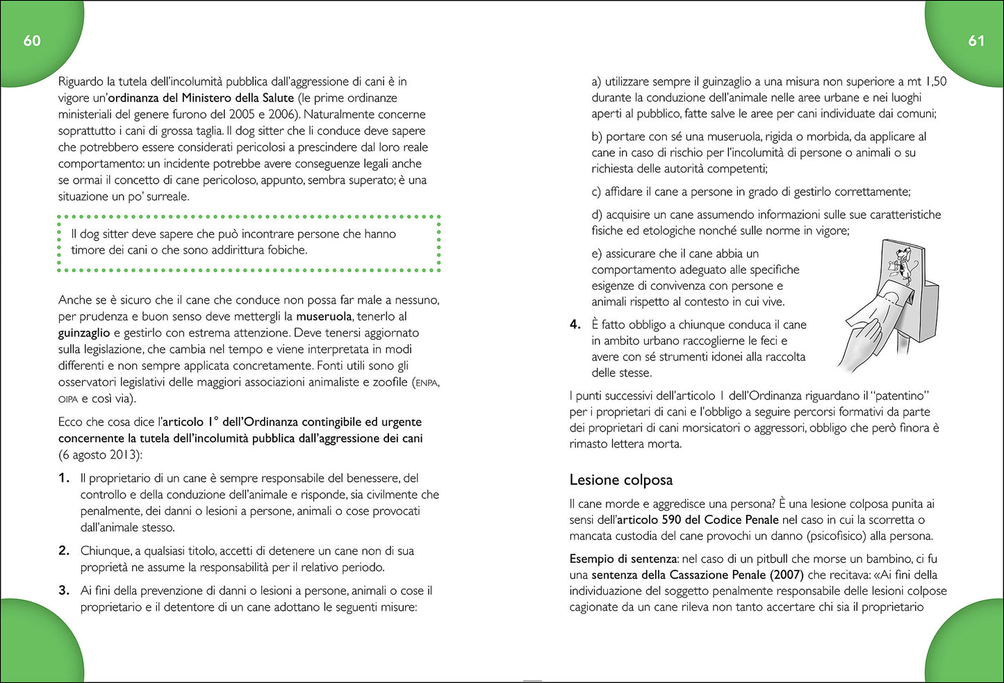 Come fare il dog sitter