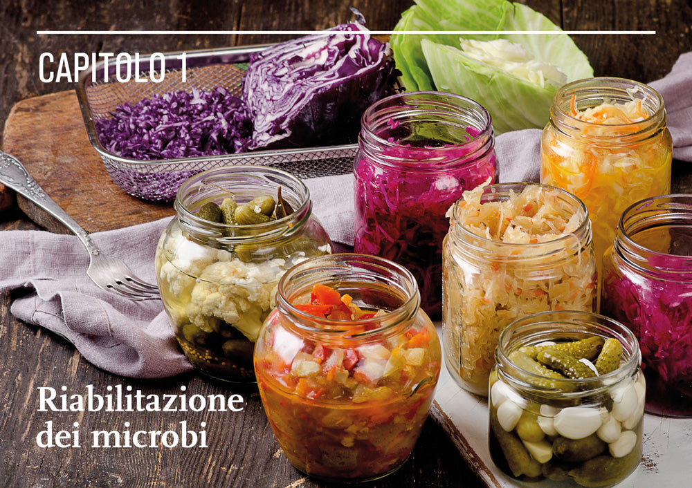 Il mondo della fermentazione::Il sapore, le qualità nutrizionali e la produzione di cibi vivi fermentati
